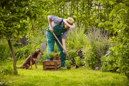 Local stump grinding service for homes and commercial properties in Nottinghill