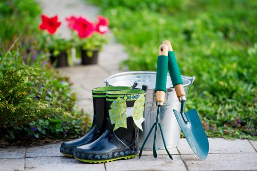 Responsible arboriculture supporting healthy trees in an urban landscape