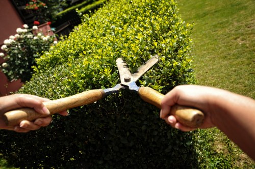Arborist carrying out careful pruning work in a Notting Hill garden