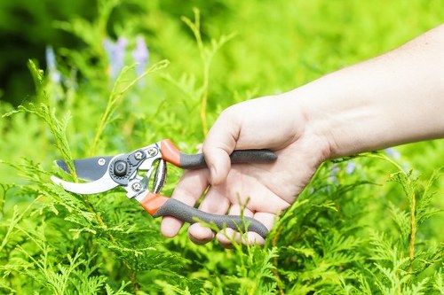 Recycled arboricultural materials supporting local sustainability projects