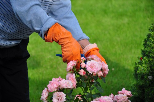 Tree surgeon making a damaged tree safe for a home or business in Notting Hill